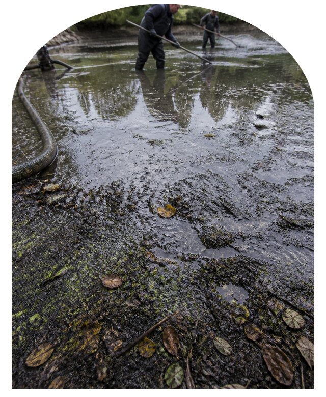 Очистка пруда в Шелехове от ила мусора и водорослей с вывозом